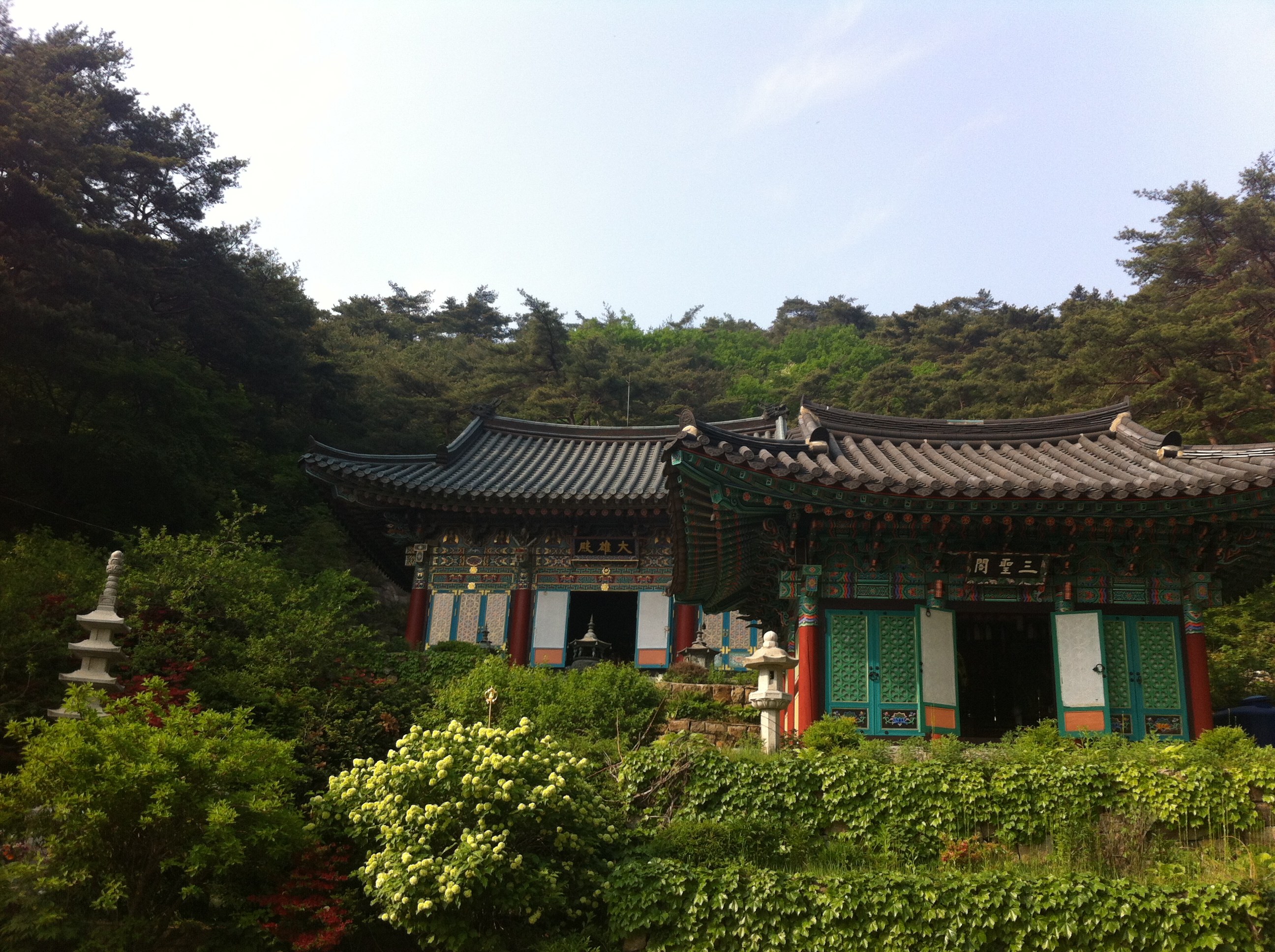 사용자 삽입 이미지