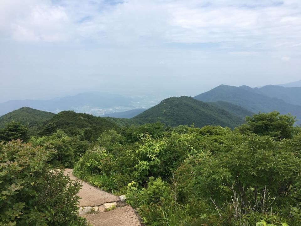 사용자 삽입 이미지