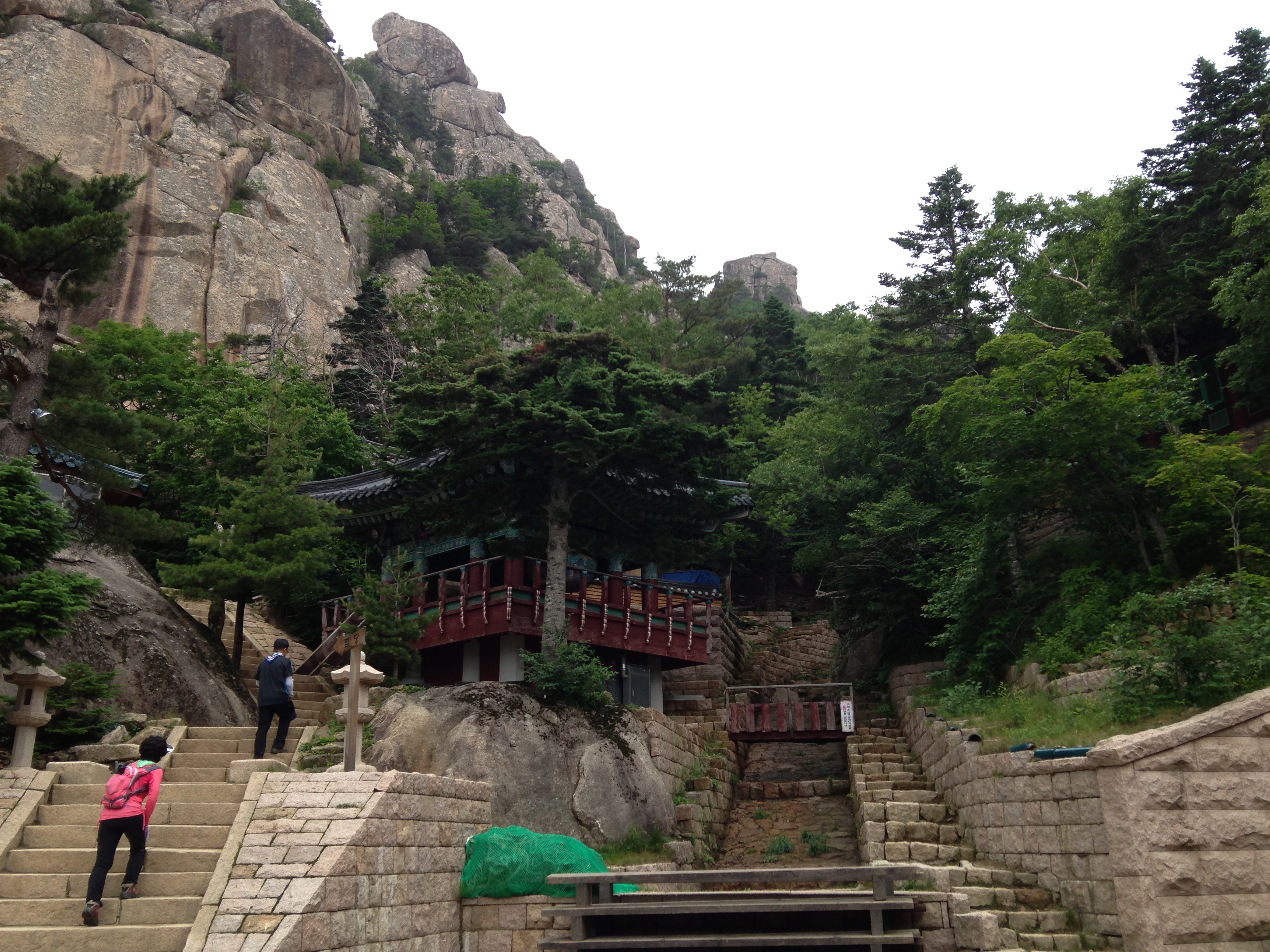 사용자 삽입 이미지