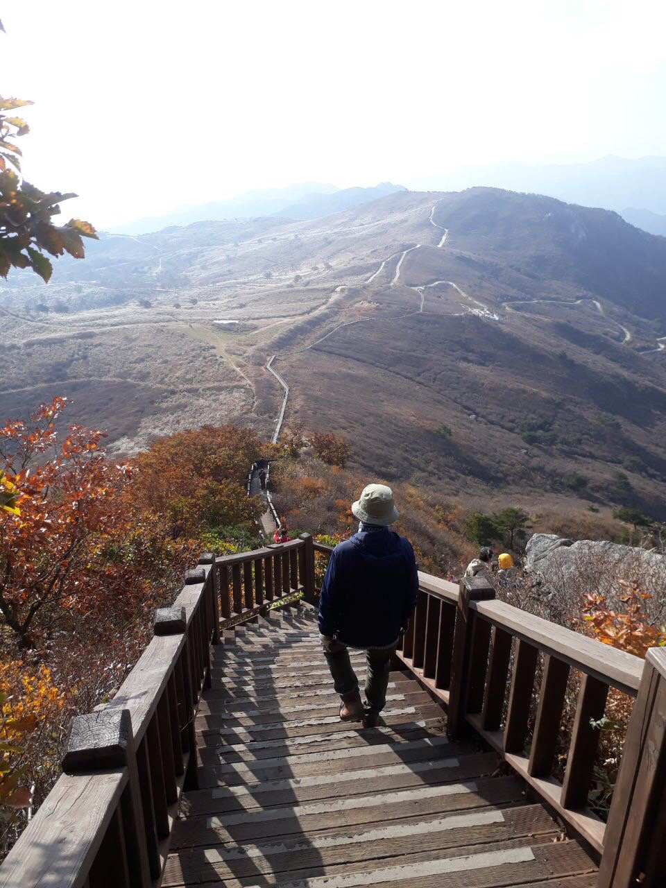 사용자 삽입 이미지