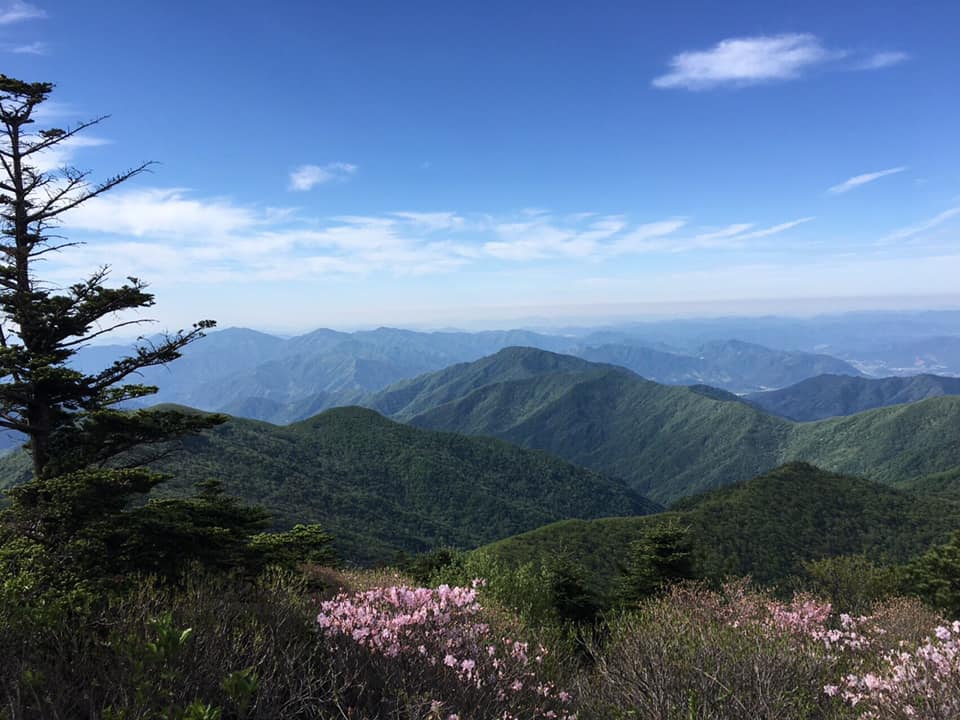사용자 삽입 이미지