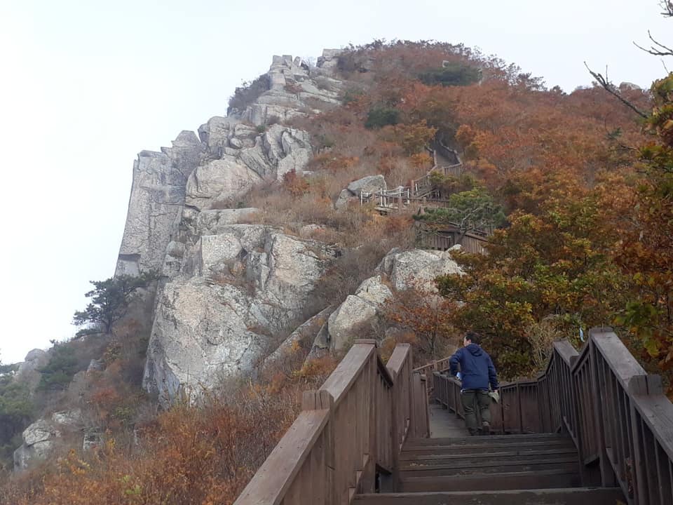 사용자 삽입 이미지