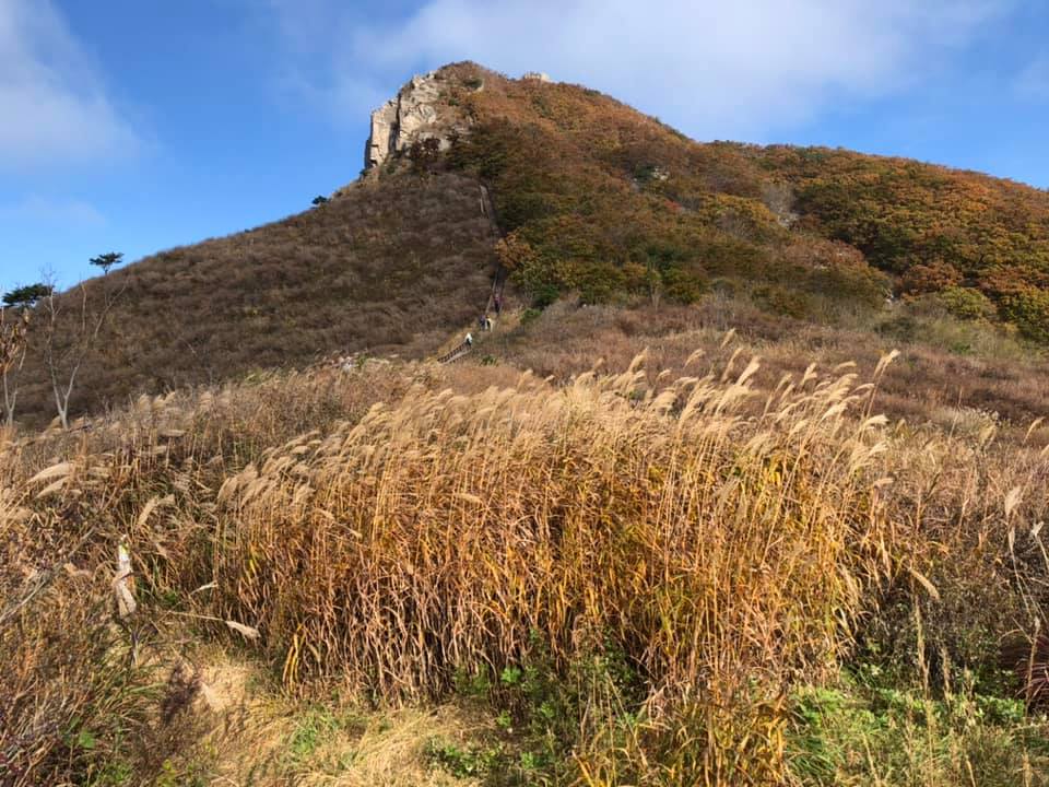 사용자 삽입 이미지