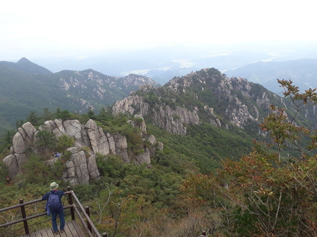 사용자 삽입 이미지
