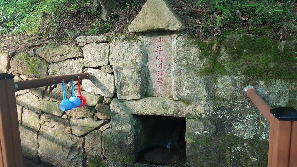 사용자 삽입 이미지
