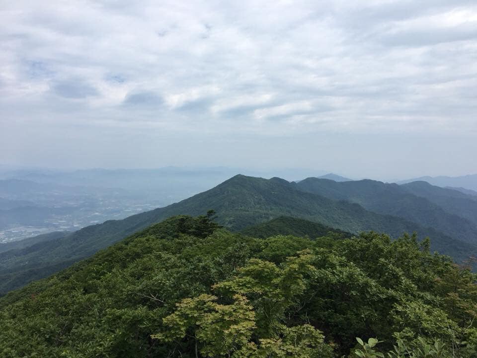 사용자 삽입 이미지