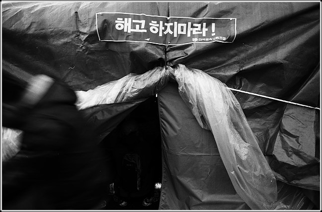 전주 비지회 천막