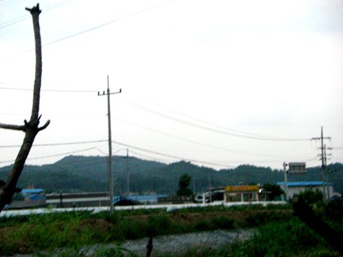 노란간판이 만리장성^^