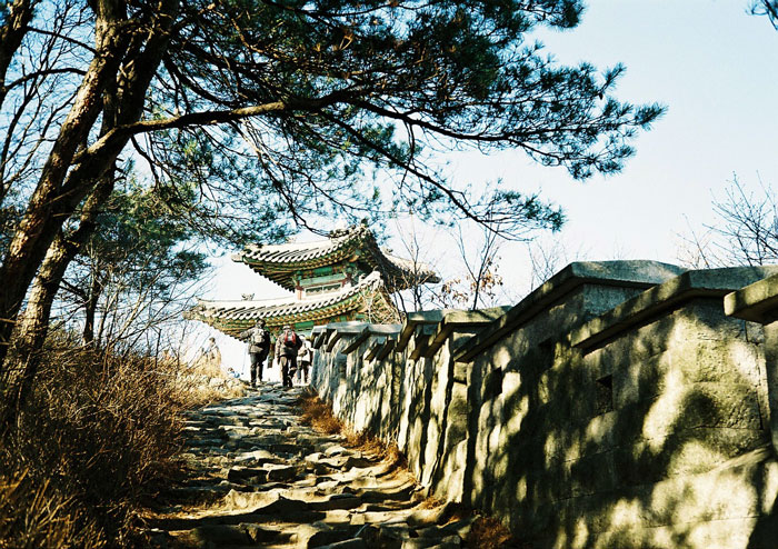 새 친구 테스트샷