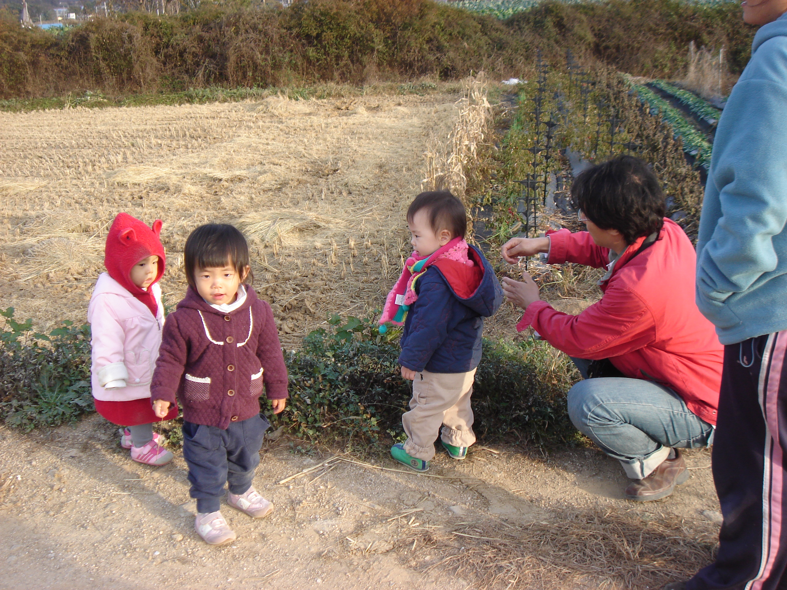 사용자 삽입 이미지