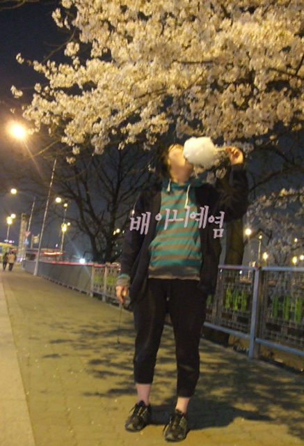 야밤 여의도 벚꽃보러 낼름... 