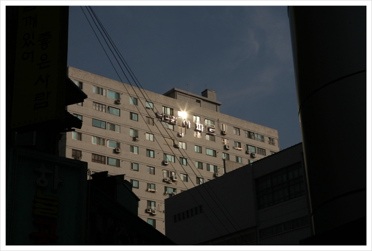 낙원_081123_04 