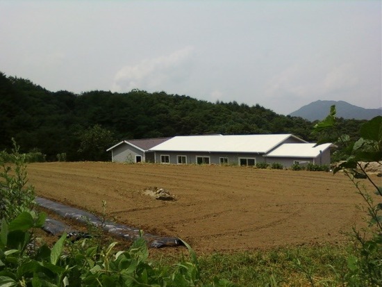 사용자 삽입 이미지