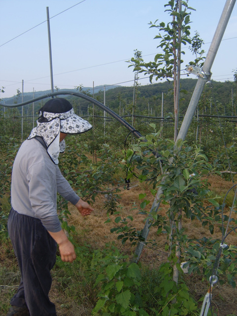 사용자 삽입 이미지