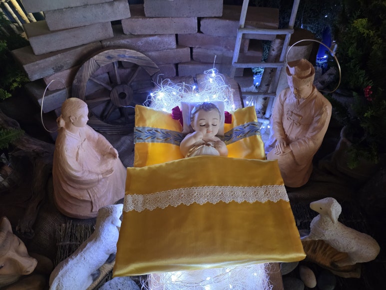 사용자 삽입 이미지