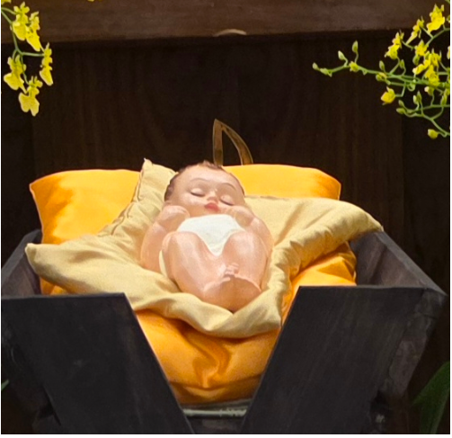 사용자 삽입 이미지