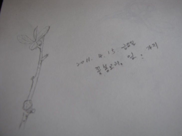사용자 삽입 이미지