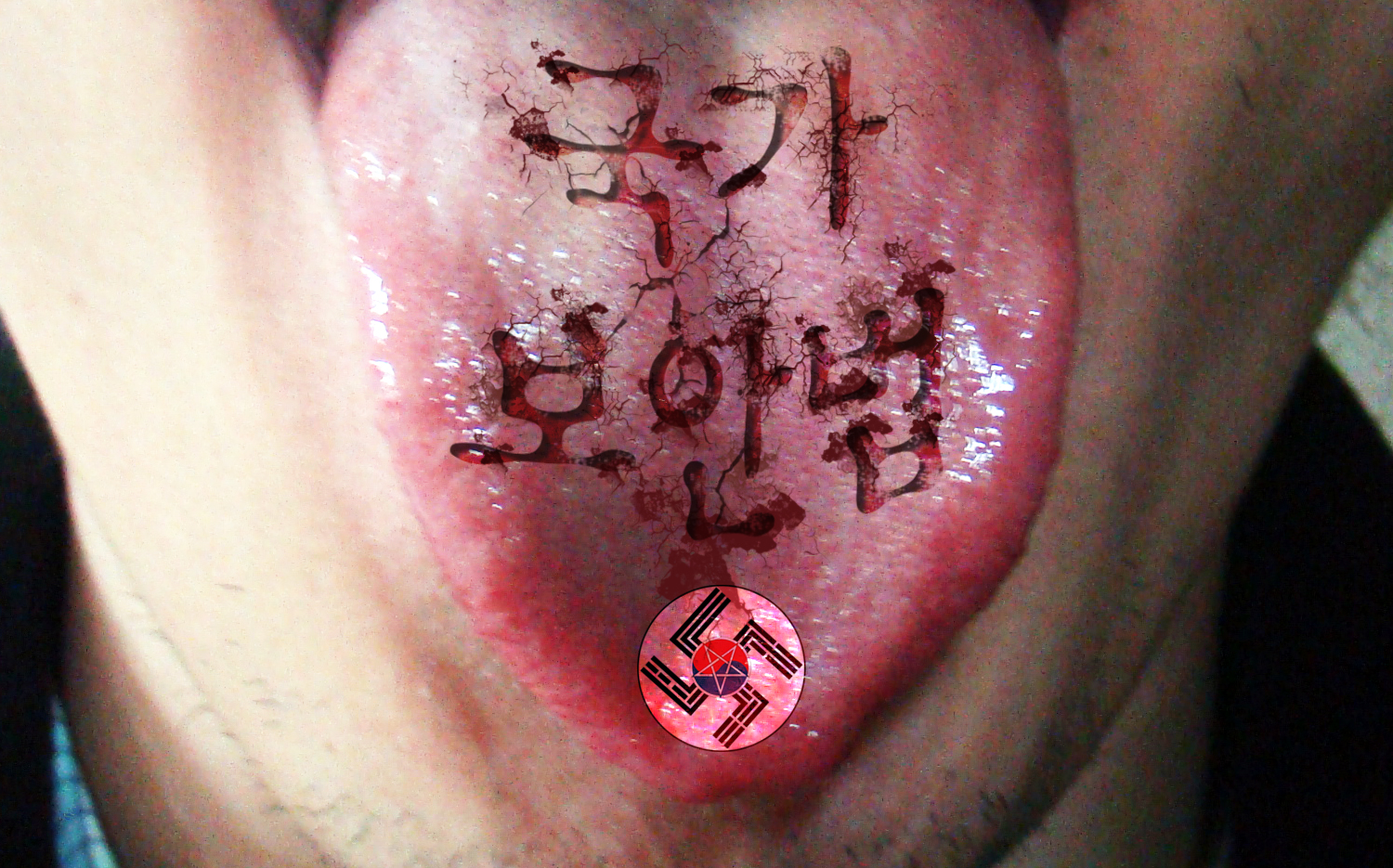 사용자 삽입 이미지