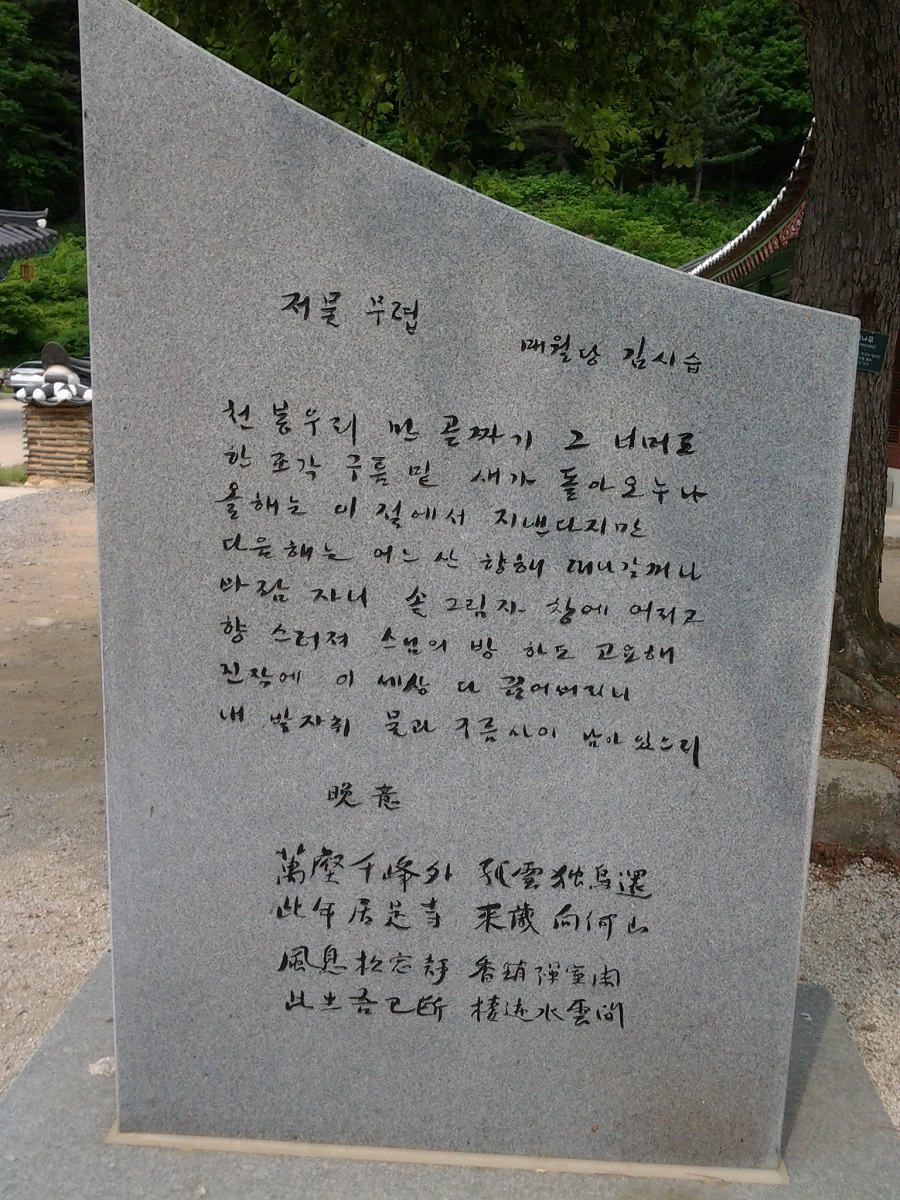 사용자 삽입 이미지