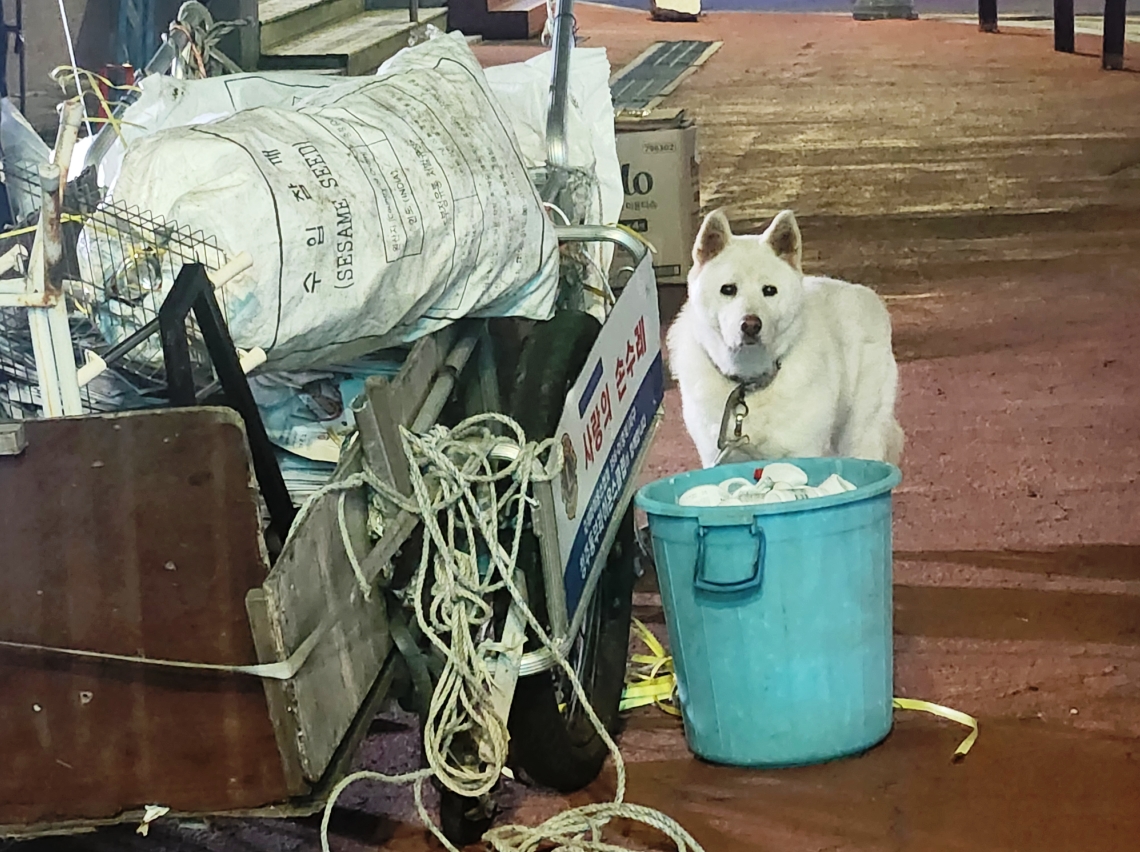 사용자 삽입 이미지