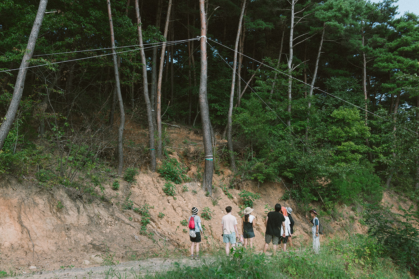 산길에 7명의 사람들이 서서 위쪽을 바라보고 있다. 사람들이 바라보는 곳에는 큰 나무가 끈으로 묶여 있고, 아래로 가파른 경사면에는 흙이 흘러내린 자국이 보인다.