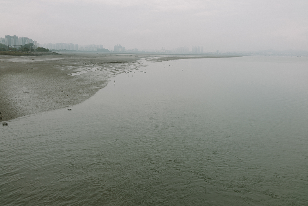 강 하구의 갯가와 너른 강의 모습을 촬영한 사진이다. 오른쪽으로는 넓고 느리게 흐르는 강물이 있고 왼편으로는 갯벌과 그 위에 앉은 새들의 모습이 보인다. 왼쪽 멀리에는 수풀과 도시의 모습이 어렴풋이 보이고 날은 흐리다. 