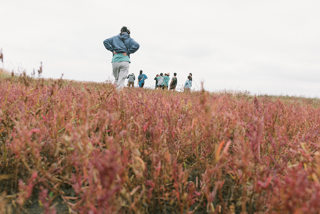 염생 식물이 낮게 자란 갯벌에서 10여명의 사람들이 저마다 걷고 있는 모습을 촬영한 사진이다. 식물 높이에서 사람들쪽을 올려다보는 시선을 담았다. 