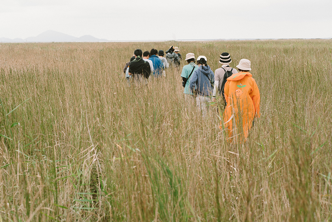 갈대 등 식물이 우거진 갯벌 사이로 10여명의 사람들이 앞을 향해 걸어가는 모습을 뒤에서 촬영한 사진이다. 멀리 바다가 보인다. 