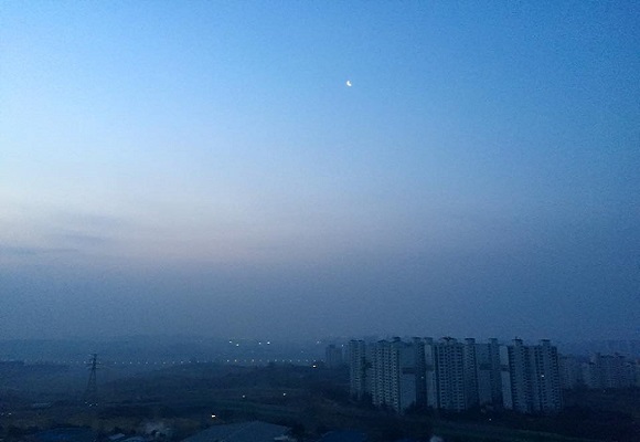 사용자 삽입 이미지