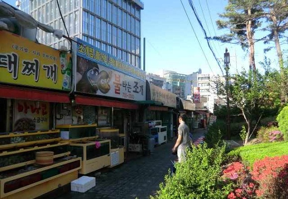 사용자 삽입 이미지