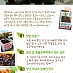 쌍차 희망텃밭 함께 만들러 가요~!